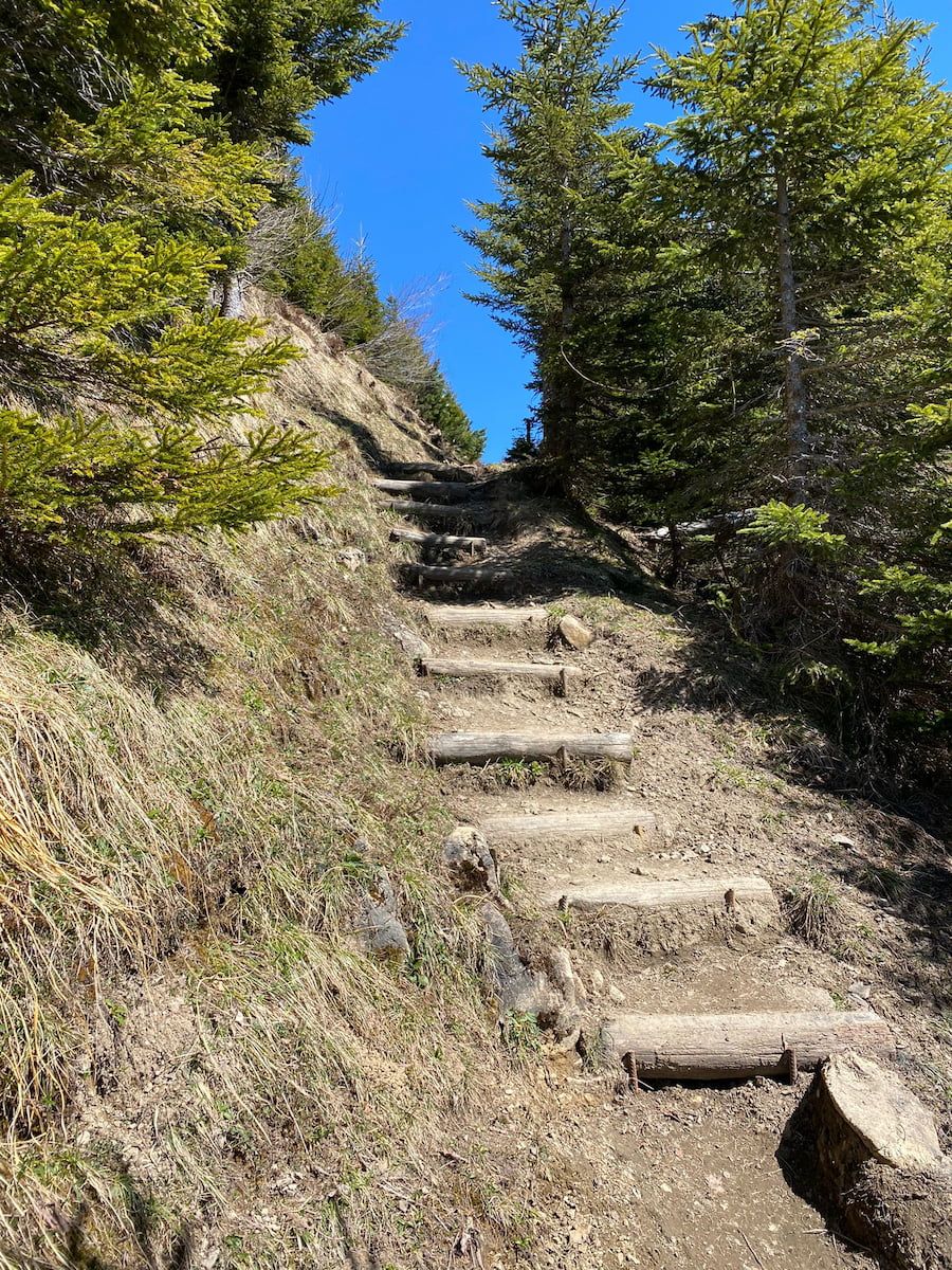 Schritt für Schritt - Die Treppe zum Erfolg